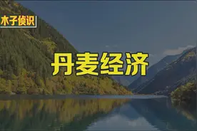 丹麦经济.视频封面