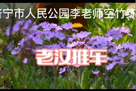 小车不倒只管推视频封面