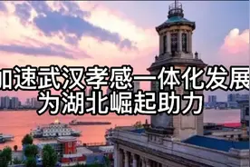 加速武汉孝感一体化发展，为湖北崛起助力！视频封面