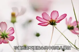 冰心 《繁星》节选视频封面