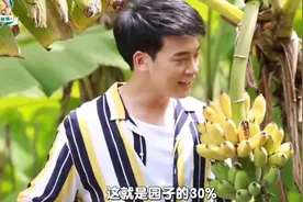 Bie带去看泰国农业视频封面