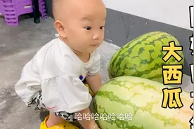 西瓜比宝宝还大，调皮女儿使出吃奶的力气都搬不动，太可爱了视频封面