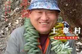 岫玉原产地的手镯到底多少钱视频封面