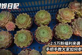 2.5万粉丝福利即将来袭！手把手教大家如何参加，祝小伙伴们好运视频封面