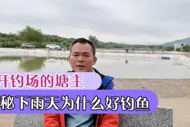 开钓场的塘主阿照，揭秘下雨天为什么好钓鱼，钓大鱼！视频封面