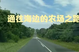 南非的农场都是私人财产，农场的环境都非常好，农场消费水平很高视频封面