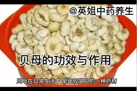 贝母的功效与作用@英姐中药养生