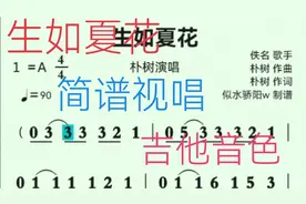 《生如夏花》简谱视唱吉他音色视频封面