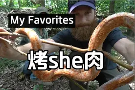 胡子哥徒手抓到一条响尾蛇，直接烤着吃，味道那个鲜视频封面