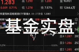 韭蔡姐买基金养家，今日收益2k，豆粕消费基金实盘视频封面