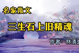 经典散文：《三生石上旧精魂》，作者：林清玄视频封面
