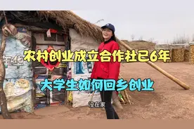 城市女孩农村种地创业，成立合作社已6年，大学生如何回乡创业视频封面