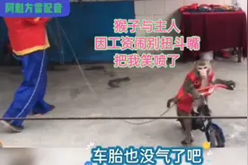 在北京动物园看猴戏表演，突然猴子和主人吵起来了，小朋友笑喷了视频封面