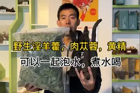 野生淫羊藿也叫三枝九叶草，可以搭配肉苁蓉黄精枸杞等一起泡水视频封面