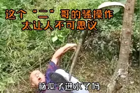 不可思议的事情不经意间在我们身边就能看到，不信那就往下看。视频封面