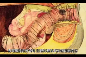 母猪接近分娩时生理过程及其动态变化会极大地影响母猪的生产力视频封面