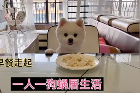 一个人生活害怕生病，肚子痛也要坚持吃早餐，人不怕穷怕生病视频封面