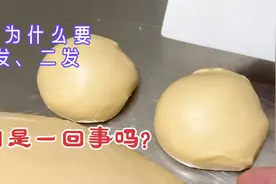 面包制作当中什么是面团的一发与二发？它们是否可有可无呢？视频封面