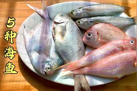 广东海边大厨教你海鱼的做法，美味简单，出锅后葱香味浓无腥味视频封面