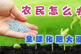 化肥大涨价，农民怎么办？从国内国际市场分析，给农民吃个定心丸视频封面