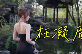 【二胡】枉凝眉+葬花吟，如泣如诉，如怨如慕视频封面