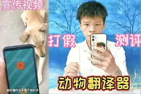 打假网红动物翻译器，用它就能和各种动物无障碍沟通？你用过吗视频封面