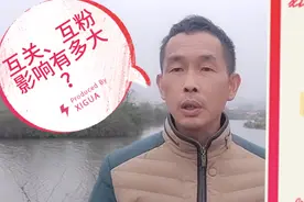 头条创作者们，千万别再互关、互粉了！影响有多大你了解过吗？视频封面