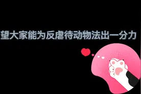 支持反虐待动物保护法成立视频封面