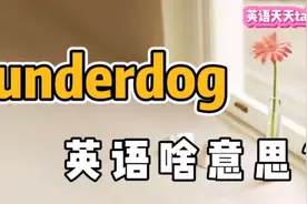 under是“在下面”，dog是“狗”，那“underdog”啥意思呢？视频封面