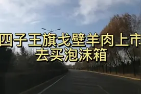 内蒙古四子王旗戈壁羊肉上市，为提升形象驱车数百公里买泡沫箱视频封面