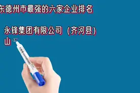 山东德州市最强的六家企业排名视频封面