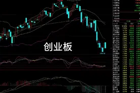 创业板弱鸡中的战斗鸡视频封面
