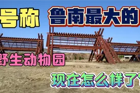 山东邹城:18年就该建成的鲁南最大野生动物园，现在怎么成这样了视频封面