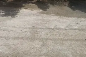百世快递倒闭了。有货架出视频封面