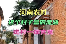 河南南阳：富的流油的村庄，新野沙堰吕营村，网友们看完惊讶不已视频封面