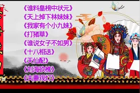 经典戏曲选段《谁料皇榜中状元》《天上掉下林妹妹》《天仙配》等视频封面