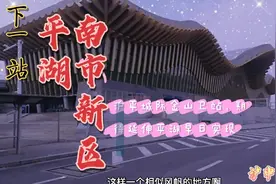 在沪平城际铁路金山卫站期待早日延伸平湖视频封面