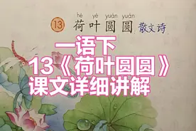 一年级语文下册：13《荷叶圆圆》课文详细讲解，一起来学习吧视频封面