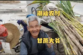 揭阳路边再遇79岁潮汕甘蔗大爷，一下认出木木，每天载200斤来卖视频封面