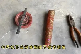 没有想到自己用针做的鱼钩竟然能钓到鱼，真是太好玩了视频封面