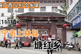 第111镇：南宁市上林县塘红乡视频封面
