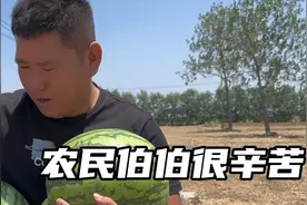 粒粒皆辛苦，农民爷爷都要80岁了还种了10亩的土地，特别辛苦视频封面
