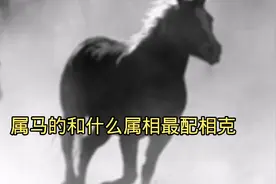 属马的和什么属相最配相克视频封面