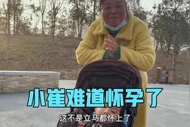 小崔大姨妈推迟怀孕了？让小柴帮忙买试纸，又是让小车留给小崔用视频封面