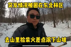 突发情况被困东北林区，进山里捡柴火差点滚下山坡，这也太危险了视频封面