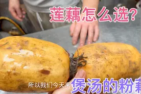 莲藕到底该怎么选？才能分辨是脆藕还是粉藕，被骗几次还是不会选视频封面