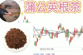 周初曾持仓的中曼石油，没有捂住啊！视频封面
