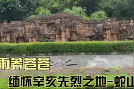 “烟雨莽苍苍，龟蛇锁大江。”站在蛇山之上，缅怀前辈革命先烈。视频封面
