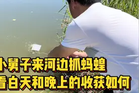 带小舅子来北京河边抓蚂蝗（水蛭），看看白天和晚上的收获如何视频封面