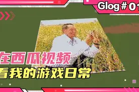 我的世界玩家花10 个小时用2万方块在游戏中弄袁隆平爷爷的画像视频封面